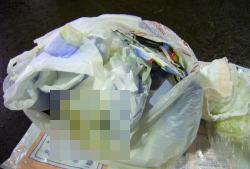 プラスチック容器包装の中に混入した汚物の付着したオムツの写真2