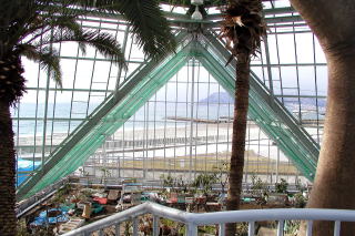 函館市熱帯植物園温室内部の写真