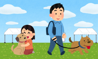 ページトップの画像です