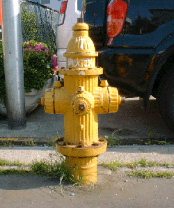 函館式三方型地上式消火栓の写真