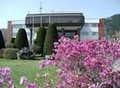 ハマナスの花と南茅部支所の画像