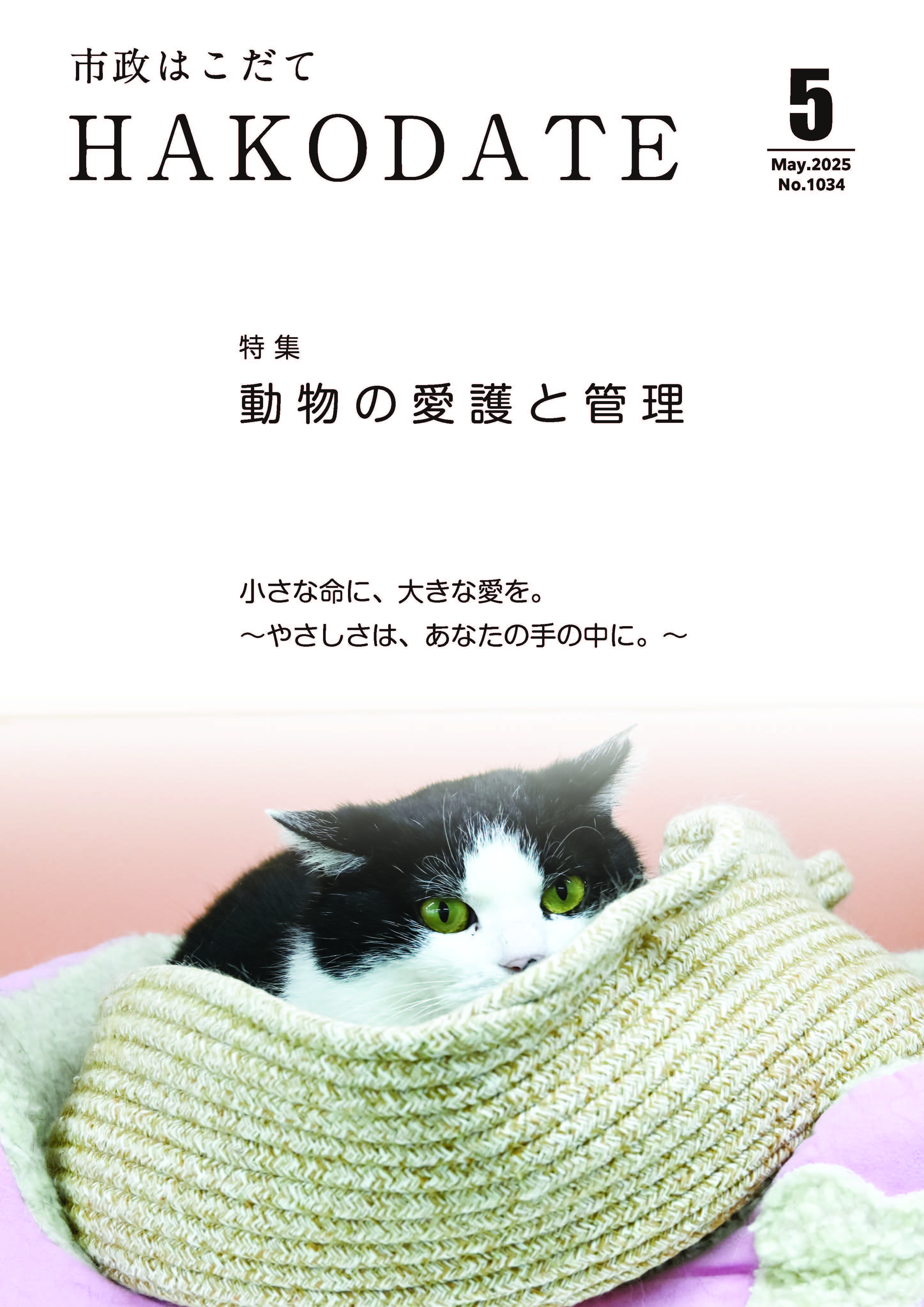 市政はこだて令和7年3月号表紙