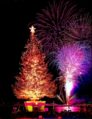 函館クリスマスファンタジーのクリスマスツリーと花火の写真