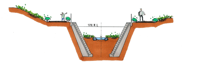 生態系に配慮した護岸（断面図）