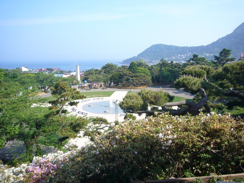 函館公園の写真