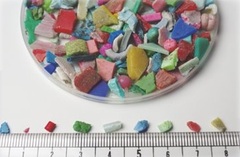 マイクロプラスチックごみ