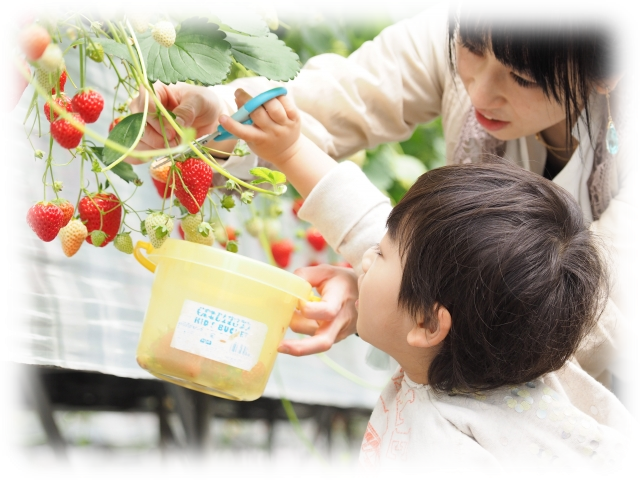 子ども