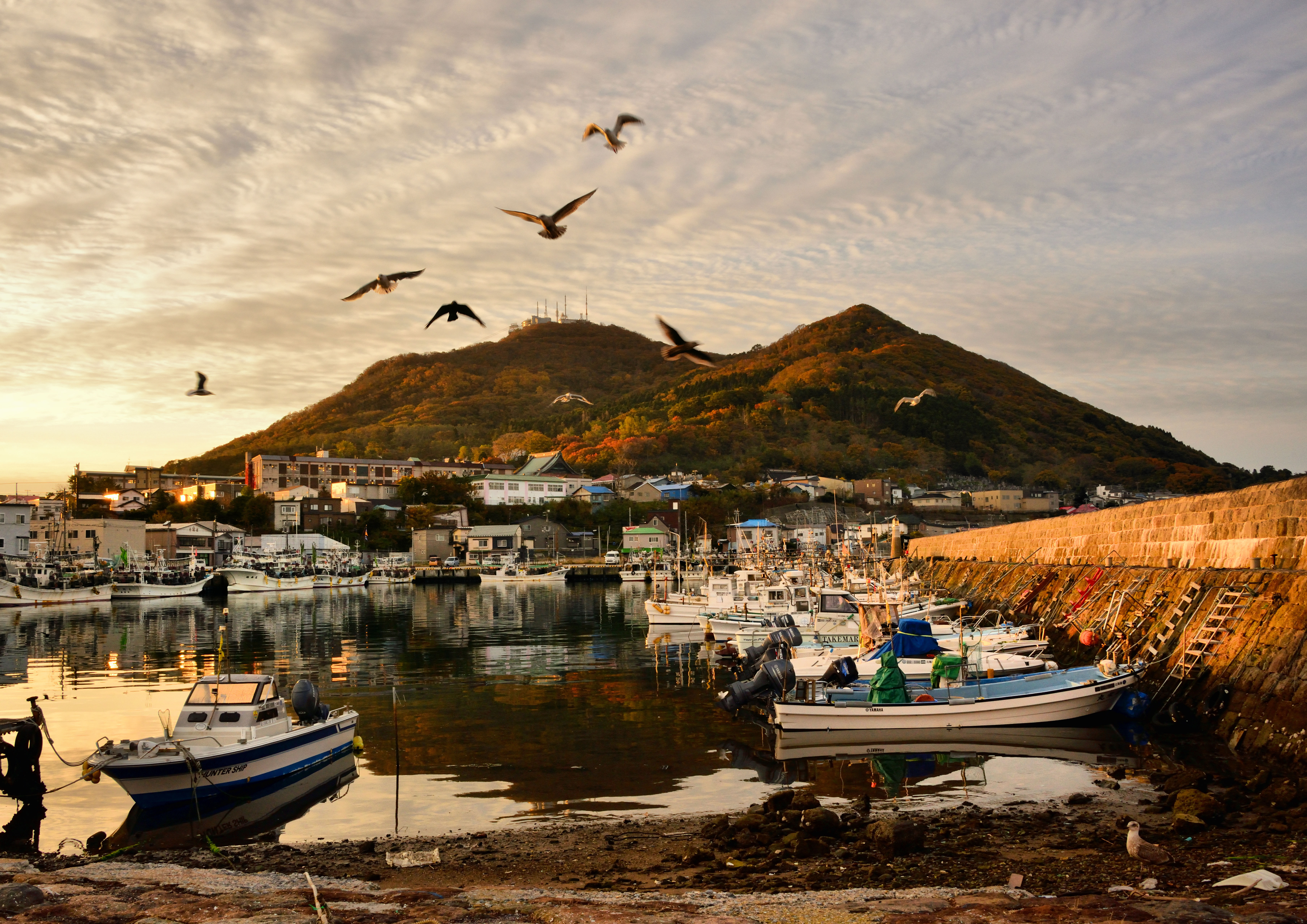 01_最優秀賞_日が昇る_竹田 徹夫.jpg