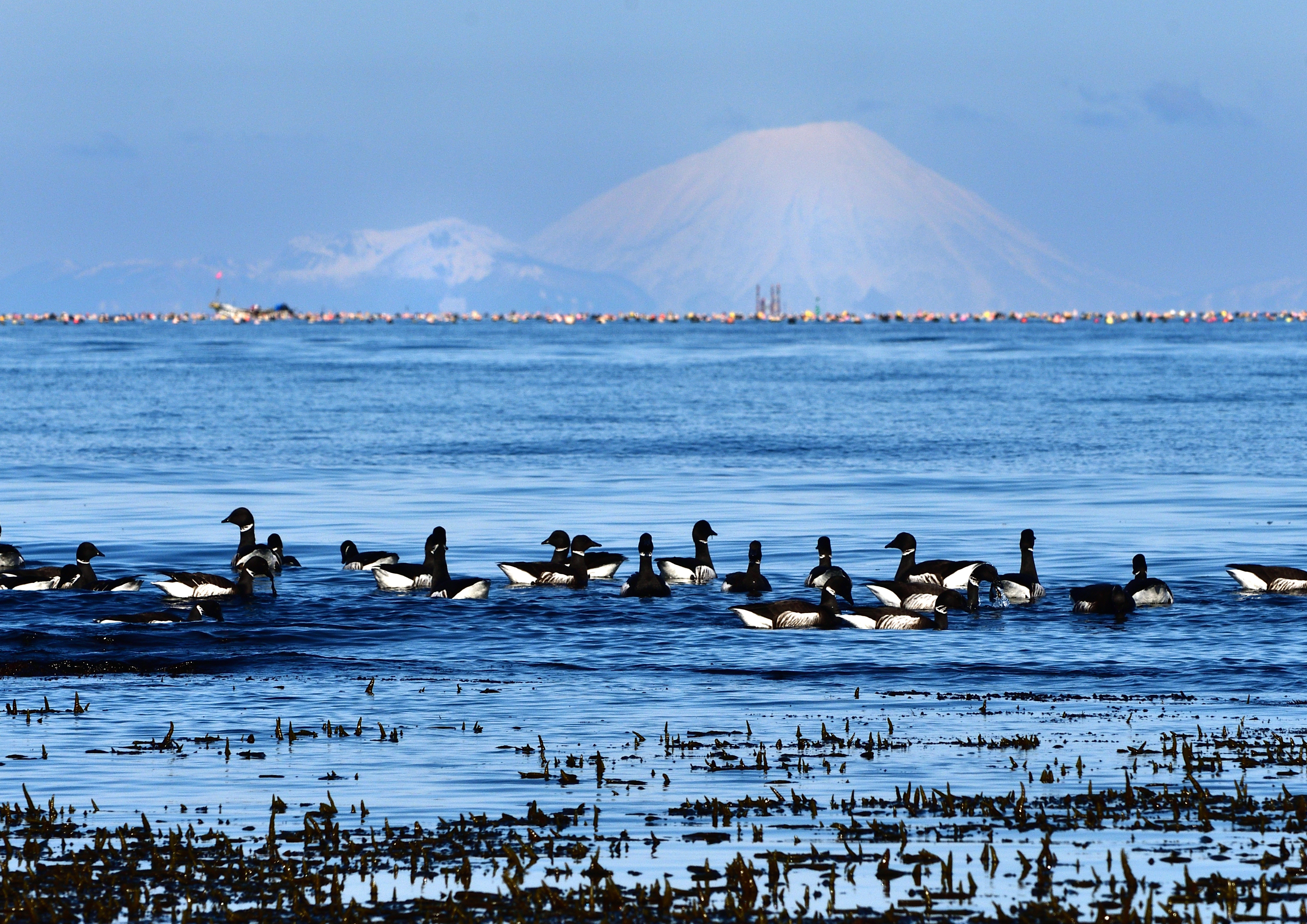 04_特別賞（朝日）_春の海_山口 健一.jpg