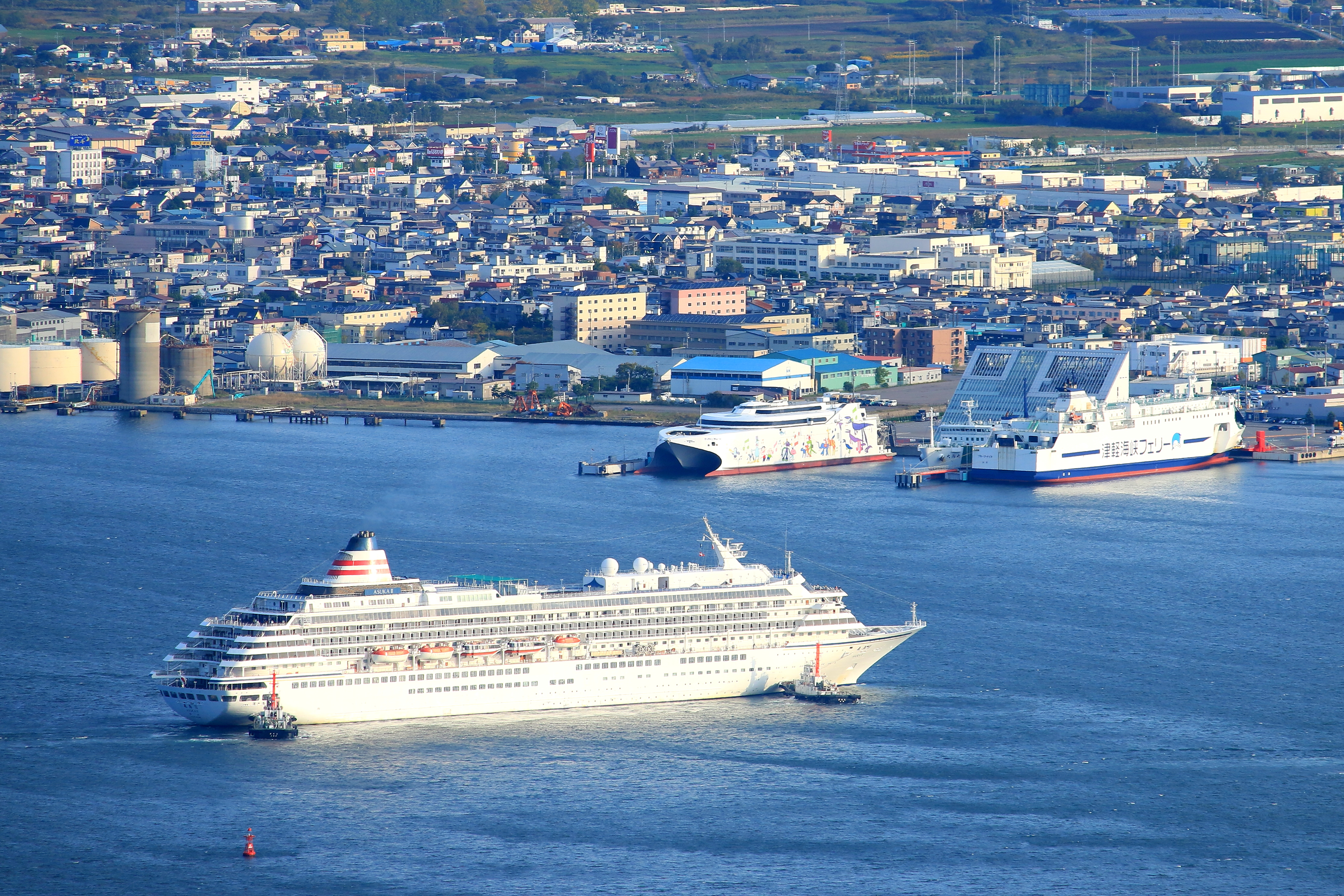 06_特別賞(函新)_飛鳥IIを歓迎する仲間たち_岩山 優光.JPG