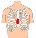 胸骨圧迫部位