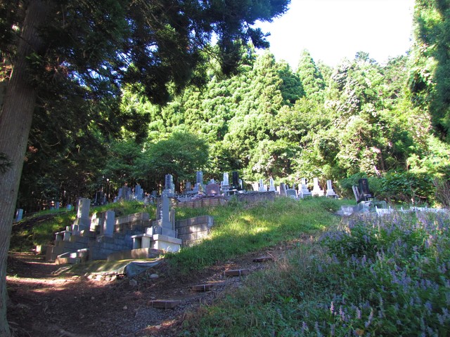 原木共同墓地