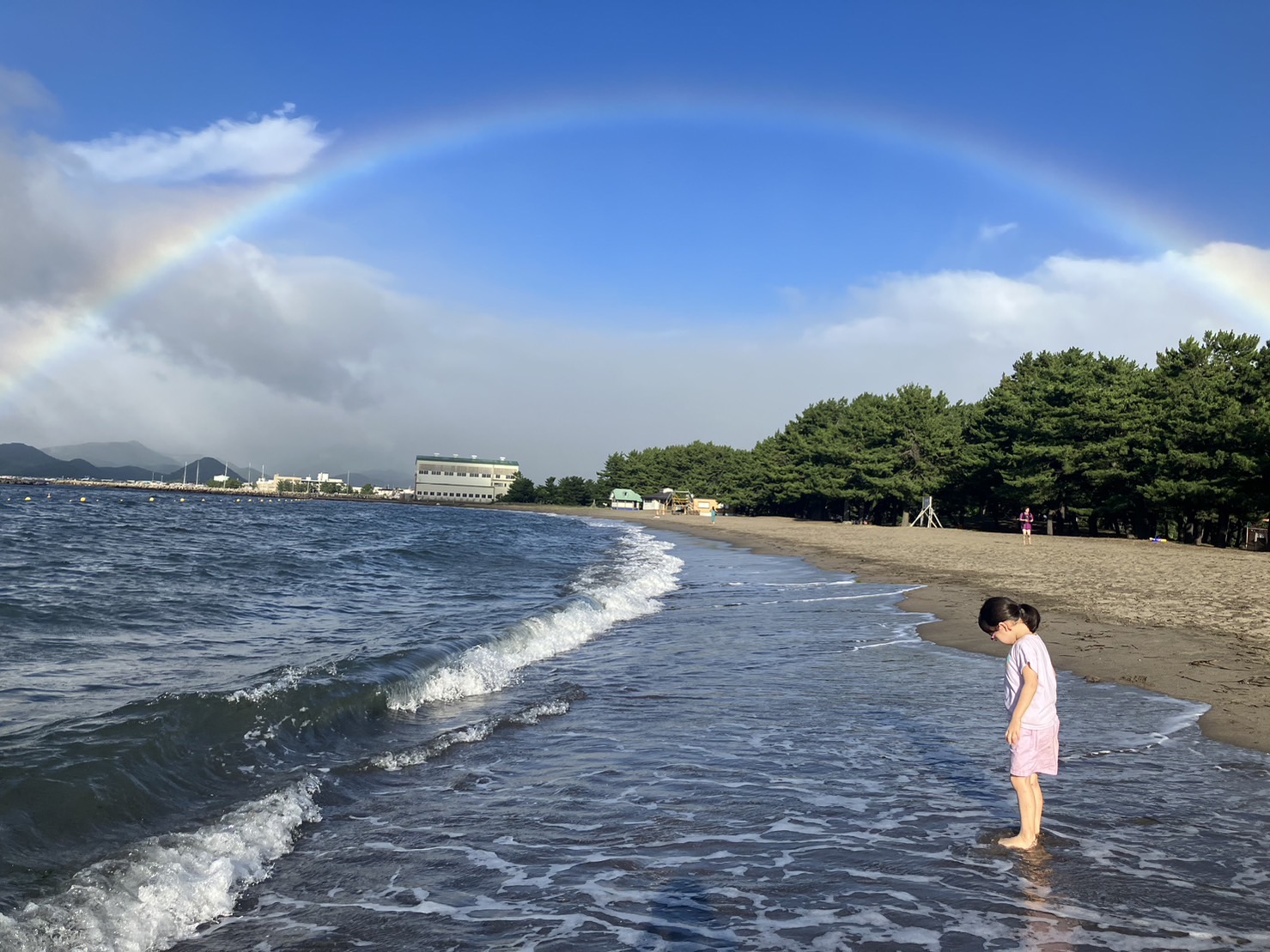 入選作品　なないろの横断幕の画像