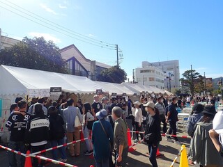 いか祭り