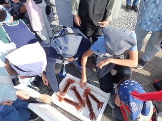 イカ料理教室