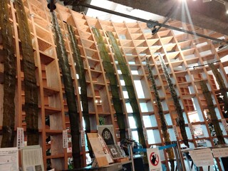 函館真昆布展