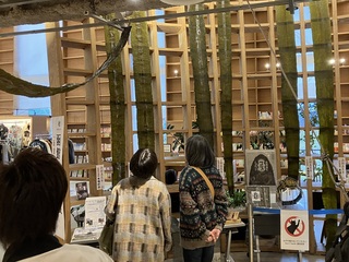 函館真昆布展