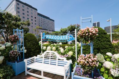 写真4