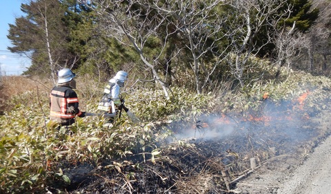 野火