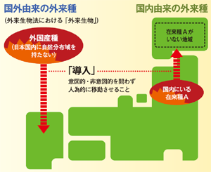 外来種侵入についての説明画像